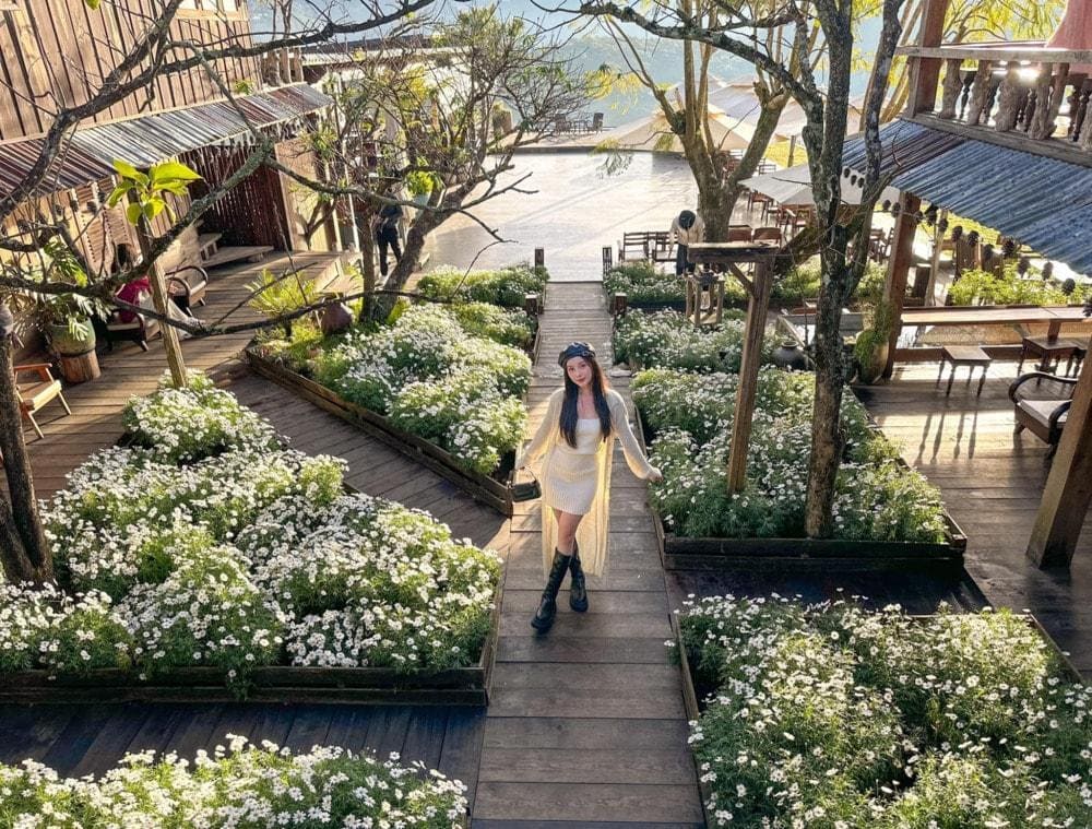 Tiệm c&agrave; ph&ecirc; B&igrave;nh Minh Ơi nổi bật với vườn c&uacute;c họa mi trắng, bao quanh l&agrave; khung cảnh n&uacute;i non tr&ugrave;ng điệp (Nguồn: Fanpage Tiệm C&agrave; Ph&ecirc; B&igrave;nh Minh Ơi)